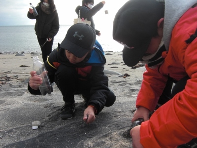 ペットボトルに砂を入れて地層を作る様子