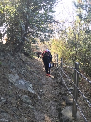 城山溶岩を観察しながら歩く