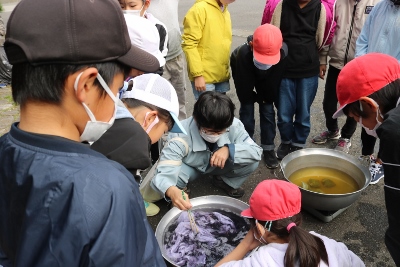 布を染める実験の様子