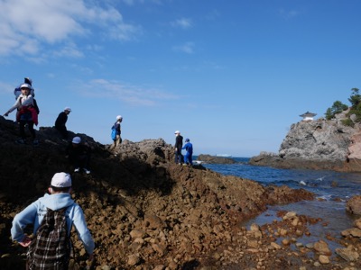 観音崎火口の探検