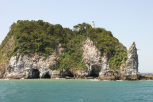 阿弥陀牡蠣