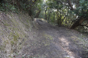 矢筈岳登山道