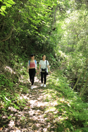 矢筈岳登山道