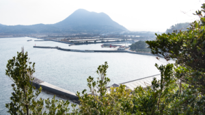 矢筈岳